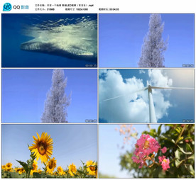 只有一个地球 朗诵舞台背景视频