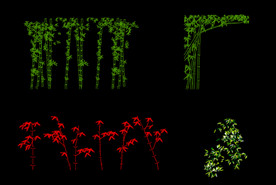 CAD 竹子 立面图