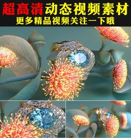 水晶钻石戒指珠宝婚礼视频素材