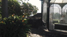 满是花草的花园