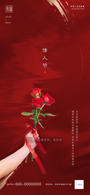 节气海报