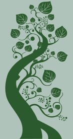 玄关发财树硅藻泥