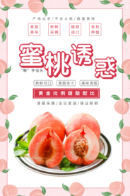 蜜桃诱惑 水蜜桃