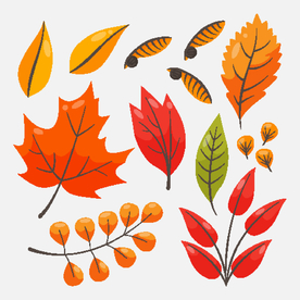 秋叶图片大全 秋叶设计素材 秋叶模板下载 秋叶图库 昵图网soso Nipic Com