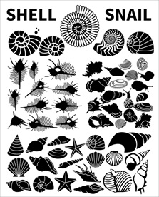 贝壳螺类矢量剪影合集