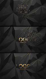 黑色时尚粒子LOGO演绎AE模