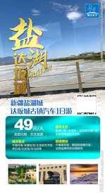 旅游 新疆海报 盐湖