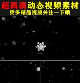 晶莹剔透雪花粒子飘落视频素材