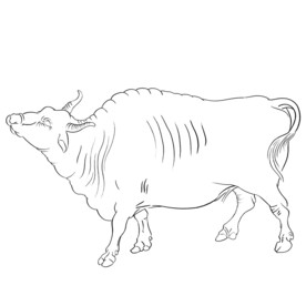 手绘牛