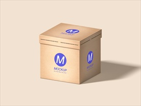 纸箱包装盒样机