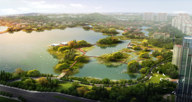 湿地公园景观 木栈道