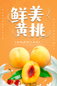 蔬菜水果