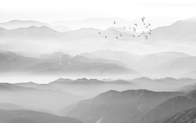 山水画 水墨山水画 意境山水画