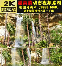 蓝天白云森林瀑布河流水花视频