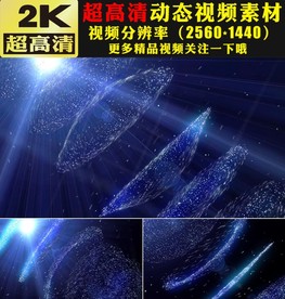 唯美蓝色粒子科技感舞台视频