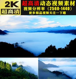小清晰高山森林树木蓝天云海视频