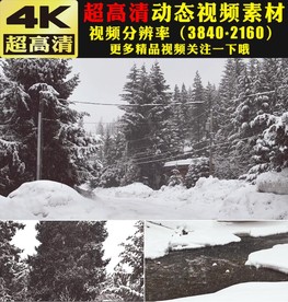 冬天雪地雪景飘雪森林视频