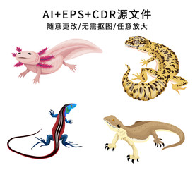 矢量手绘卡通壁虎