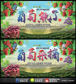葡萄熟了葡萄采摘展板海报