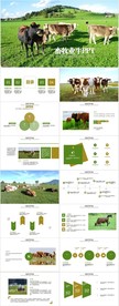 畜牧业养殖牧场牛群动态PPT