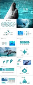 海洋馆可爱海豚PPT模板