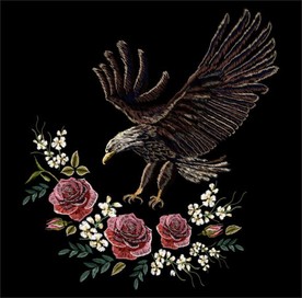 绣花鹰