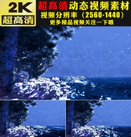 唯美雪花飘落下雪大树湖面视频