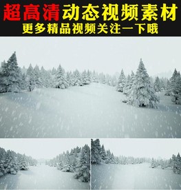 唯美下雪松树雪景冬天视频