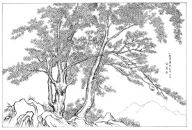 树木绘图