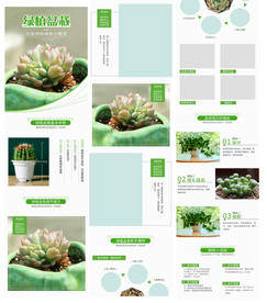 多肉详情页图片