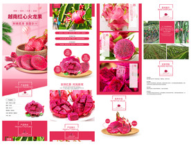 红心火龙果淘宝天猫详情页模板图