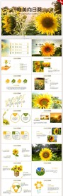 唯美向日葵心理健康教育PPT
