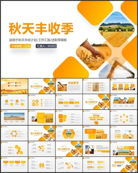 水稻农田秋天秋季丰收节PPT