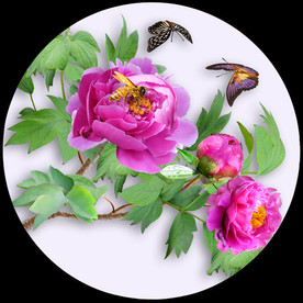 原创牡丹蝴蝶装饰画