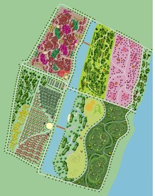 公园营地果园平面规划图