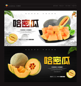 哈密瓜 新疆哈密瓜