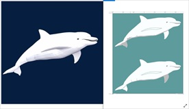 海豚白鲸