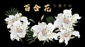 百合花矢量高清手绘艺术插画