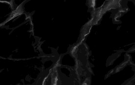 高档  黑色纹理 TIF合层