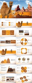 沙漠骆驼西域文化旅游圣地PPT