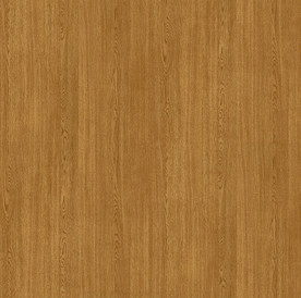 维纳黄橡 高清木纹图