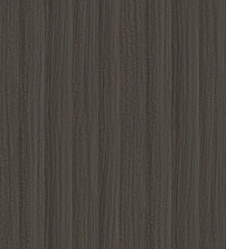 尤加利 高清木纹图