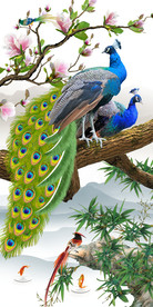原创花鸟孔雀玄关背景墙晶瓷画