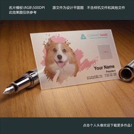 宠物透明名片