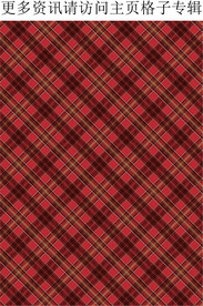 苏格兰格子 红色格子面料