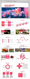 唯美郁金香小清新工作总结PPT