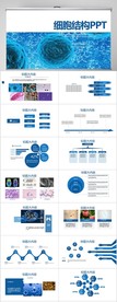 蓝色医疗细胞结构工作总结PPT