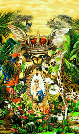 动物王国 热带雨林