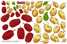 红枣手绘元素