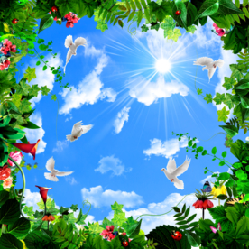 蓝天白云天顶画